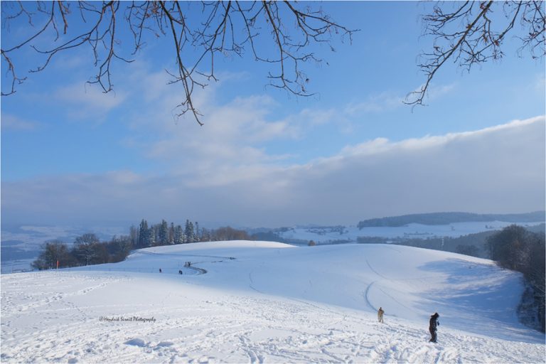 Gurten 2014