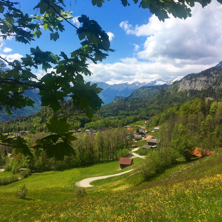 Switzerland in Summer