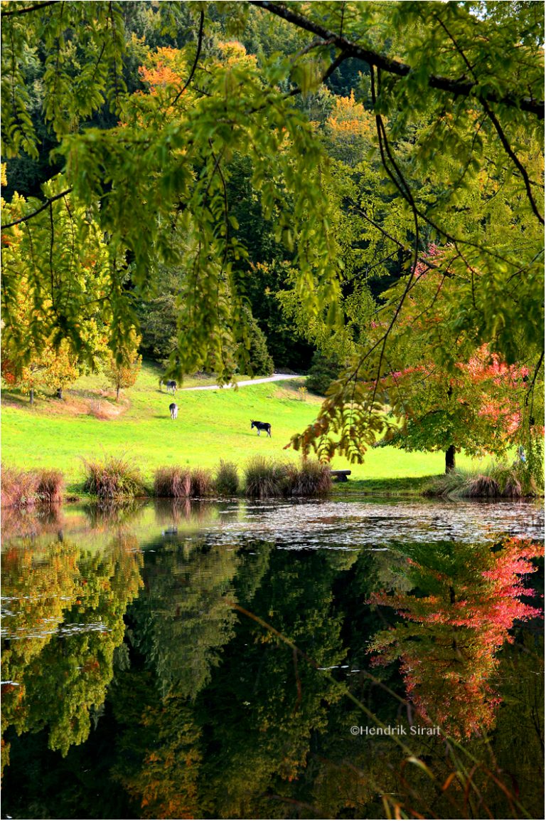 Arboretum 2019