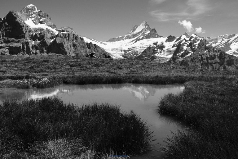 Grindelwald First – 2020